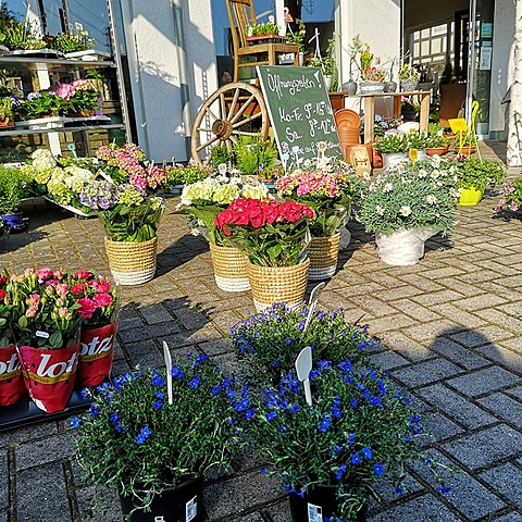 Ladenfront mit Pflanzen im Frühling