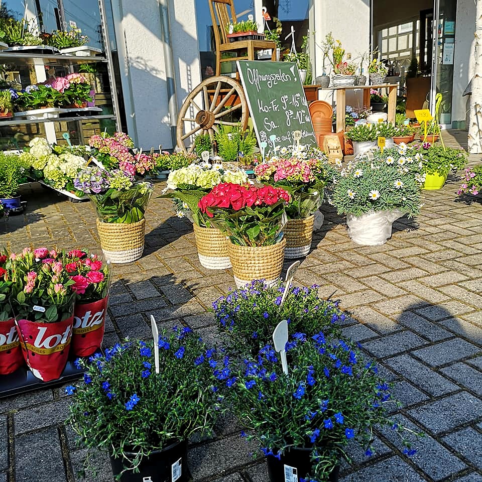Ladenfront des Blumenstudios Jauernek im Frühling mit Blumen und Pflanzen vor dem Eingang