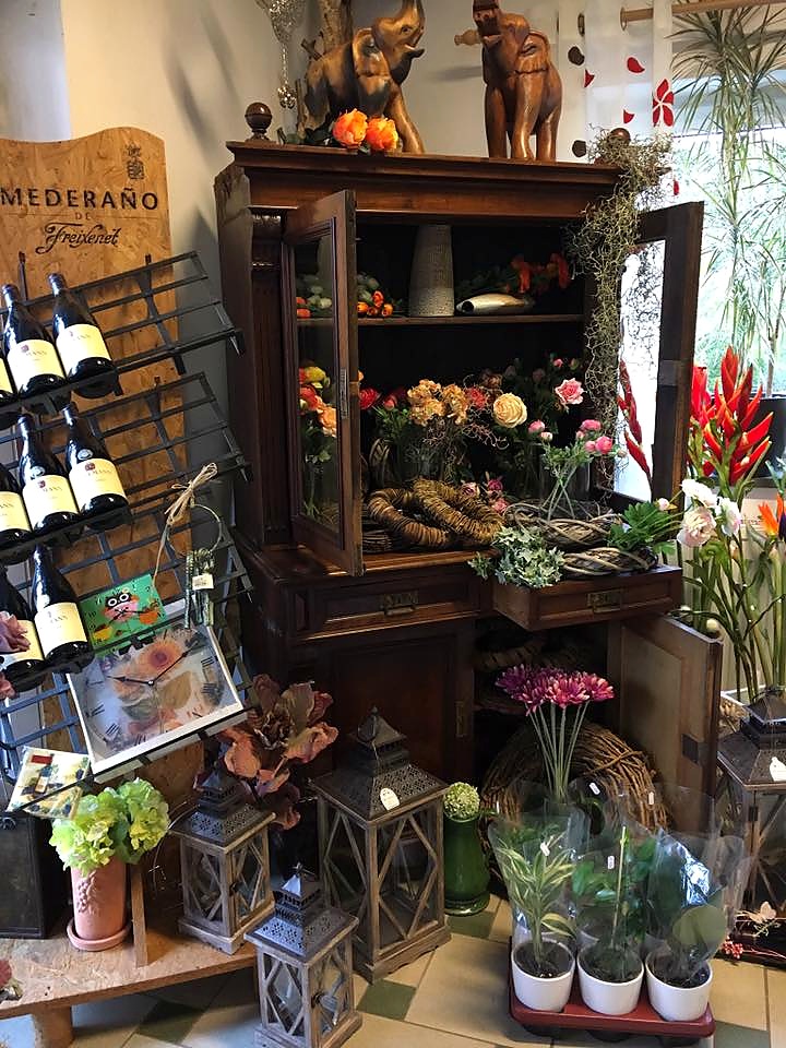 Antiker Holzschrank im Schaufenster mit Pflanzen und Geschenkartikeln